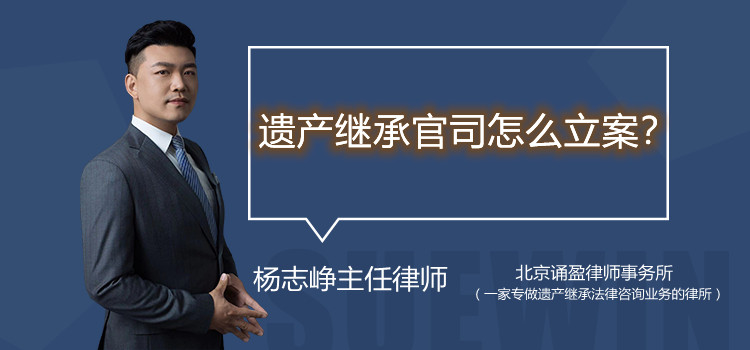 遺產(chǎn)繼承官司怎么立案