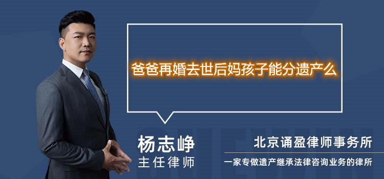 爸爸再婚去世后媽孩子能分遺產(chǎn)么