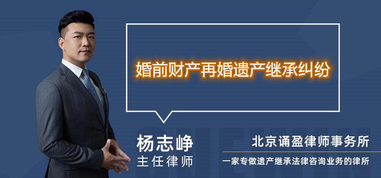 婚前財產(chǎn)再婚遺產(chǎn)繼承糾紛