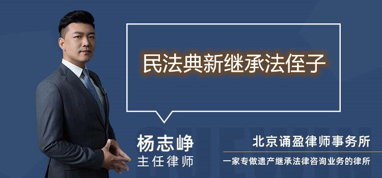 民法典新繼承法侄子