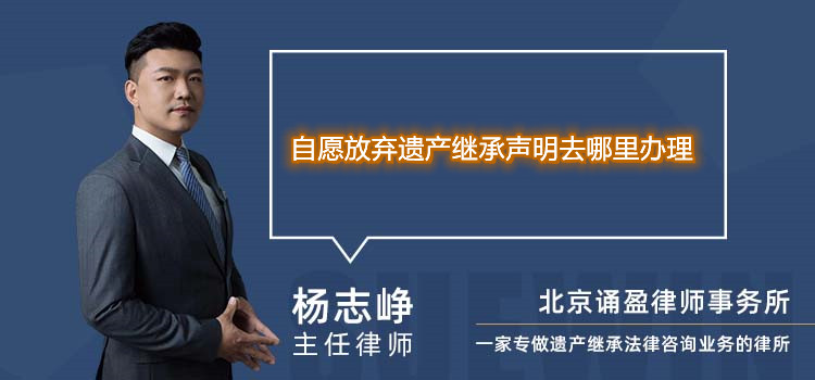 自愿放棄遺產(chǎn)繼承聲明去哪里辦理
