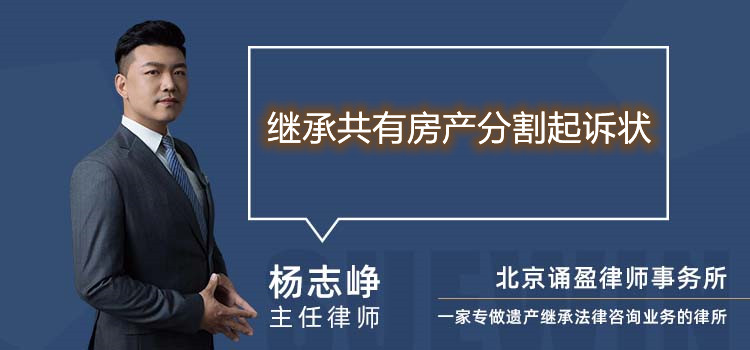 繼承共有房產(chǎn)分割起訴狀