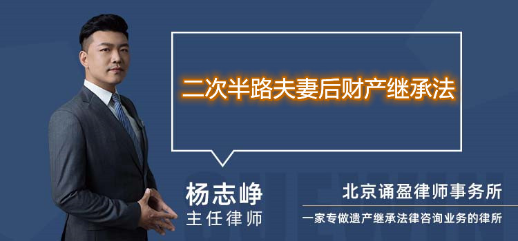 二次半路夫妻后財(cái)產(chǎn)繼承法