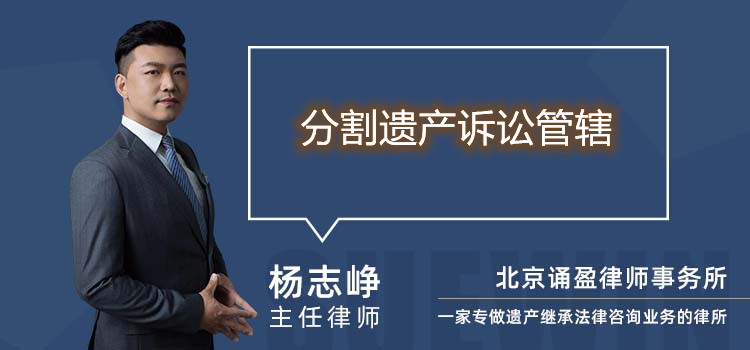 分割遺產(chǎn)訴訟管轄