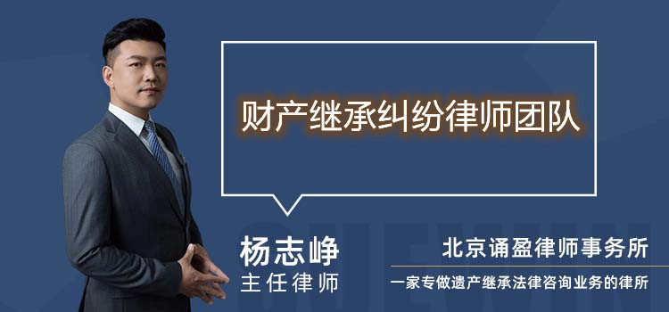 財(cái)產(chǎn)繼承糾紛律師團(tuán)隊(duì)