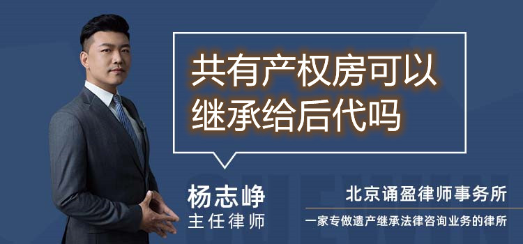 共有產(chǎn)權(quán)房可以繼承給后代嗎