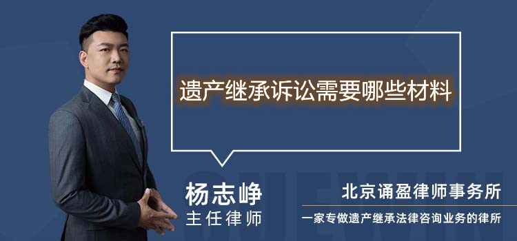 遺產(chǎn)繼承訴訟需要哪些材料