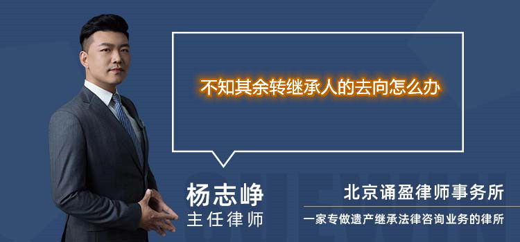不知其余轉(zhuǎn)繼承人的去向怎么辦