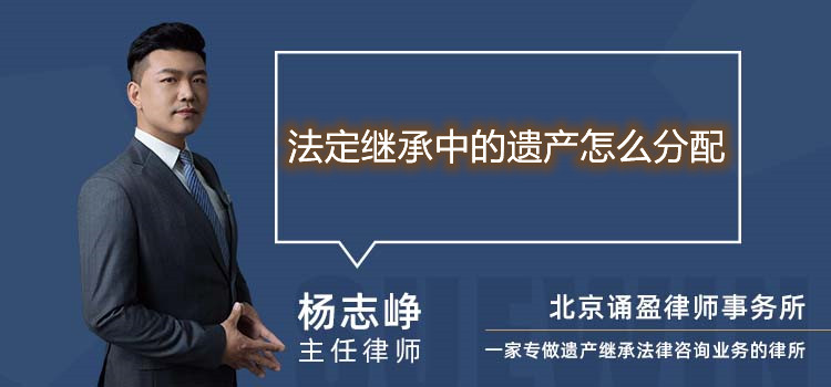 法定繼承中的遺產(chǎn)怎么分配
