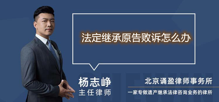 法定繼承原告敗訴怎么辦