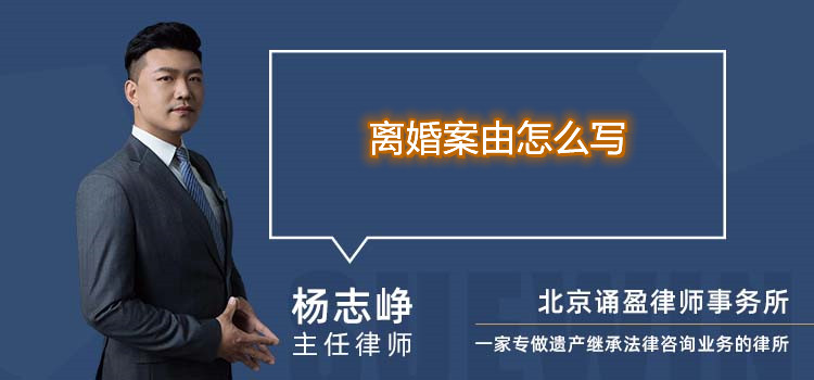 離婚案由怎么寫