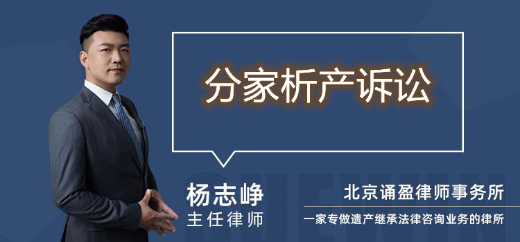 分家析產(chǎn)訴訟